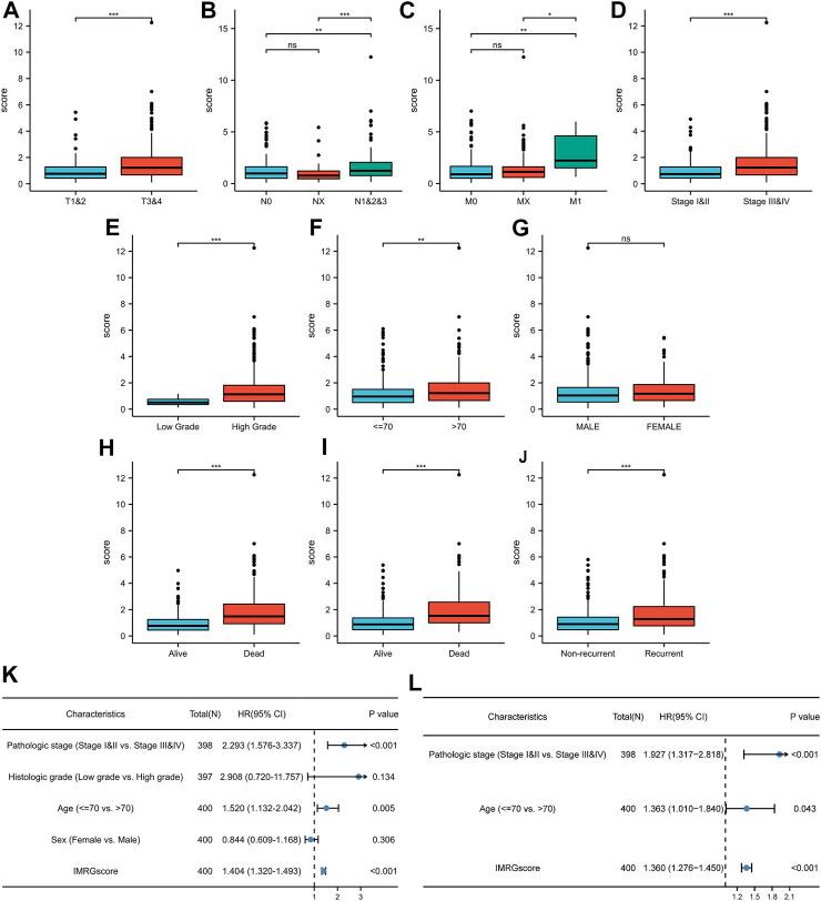 https://cdn.ncbi.nlm.nih.gov/pmc/blobs/af02/8899848/a3dbf73aabd1/fcell-10-810272-g009.jpg