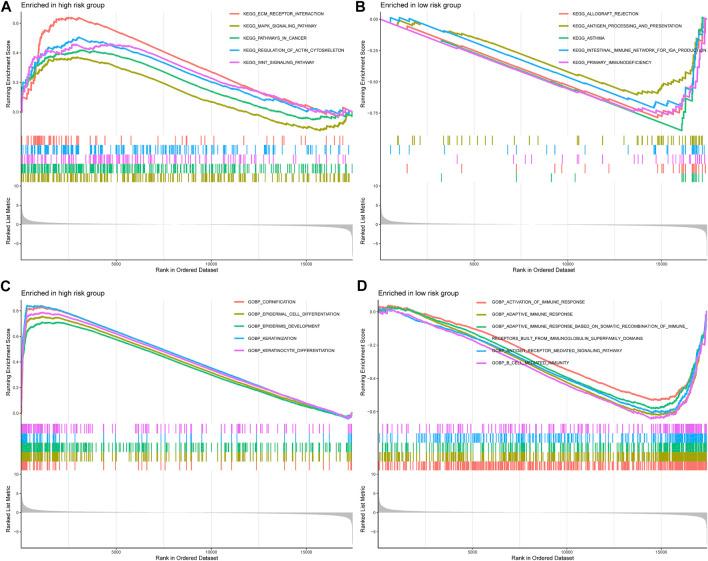 https://cdn.ncbi.nlm.nih.gov/pmc/blobs/af02/8899848/d31547f8caec/fcell-10-810272-g011.jpg