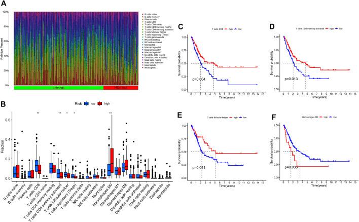 https://cdn.ncbi.nlm.nih.gov/pmc/blobs/af02/8899848/e7189597be38/fcell-10-810272-g012.jpg