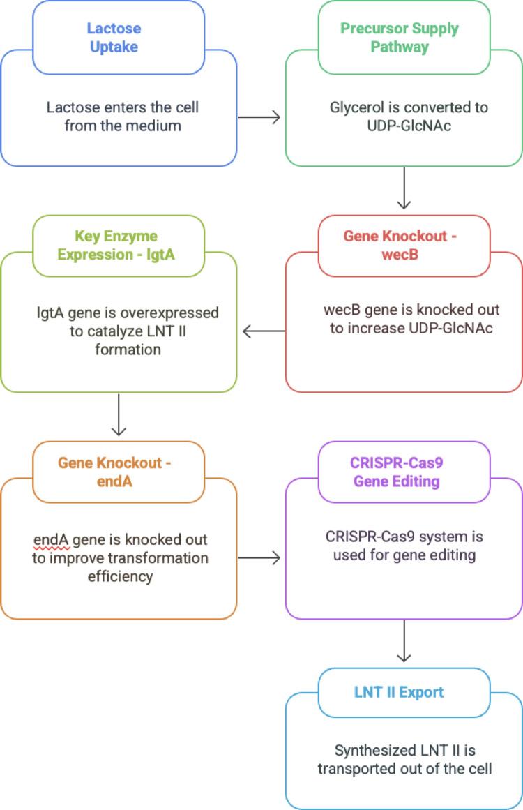 https://cdn.ncbi.nlm.nih.gov/pmc/blobs/af03/12328466/d832732b0211/203_2025_4417_Fig3_HTML.jpg