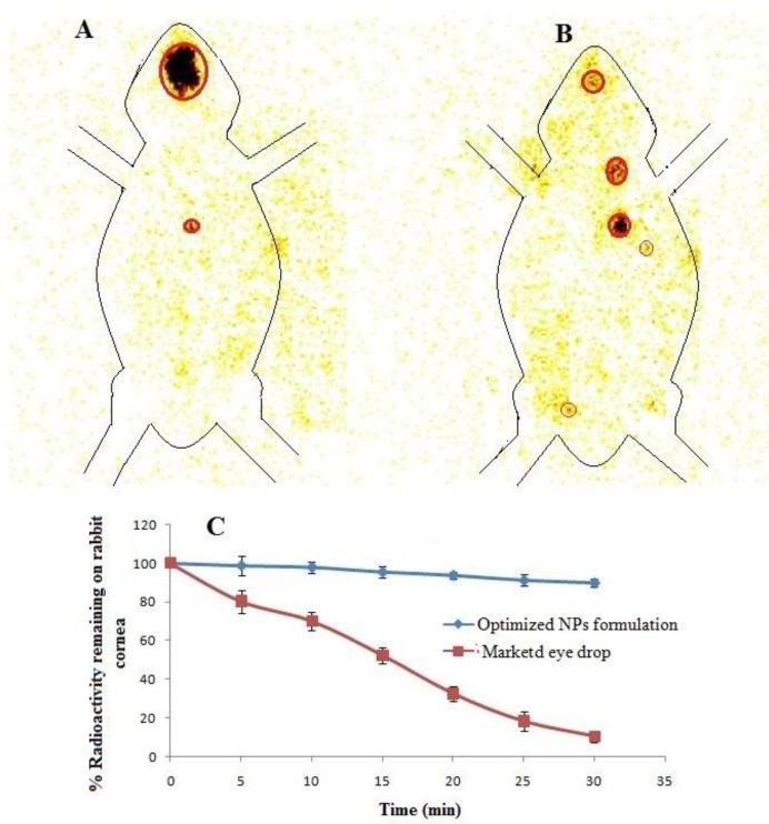 https://cdn.ncbi.nlm.nih.gov/pmc/blobs/af03/7462482/4d622df55399/ijpr-19-292-g010.jpg