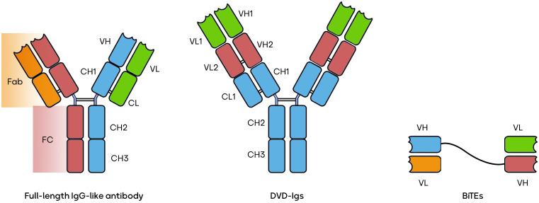 https://cdn.ncbi.nlm.nih.gov/pmc/blobs/af04/10725925/0cb0c6779410/fimmu-14-1266450-g001.jpg
