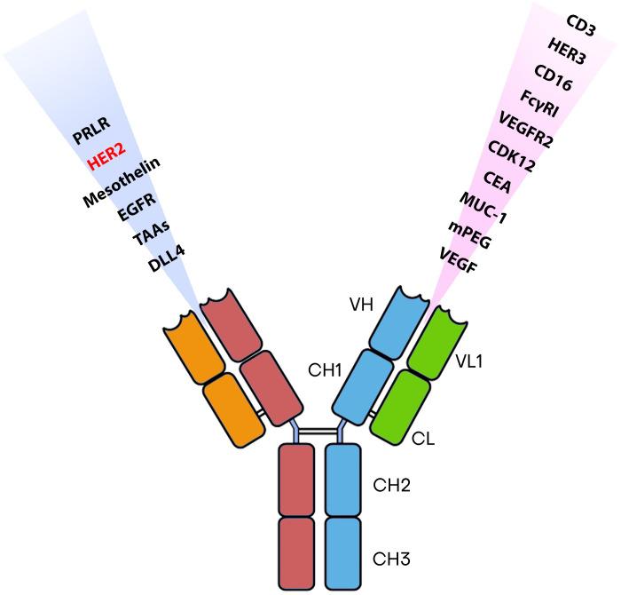 https://cdn.ncbi.nlm.nih.gov/pmc/blobs/af04/10725925/b6ae596e3941/fimmu-14-1266450-g002.jpg