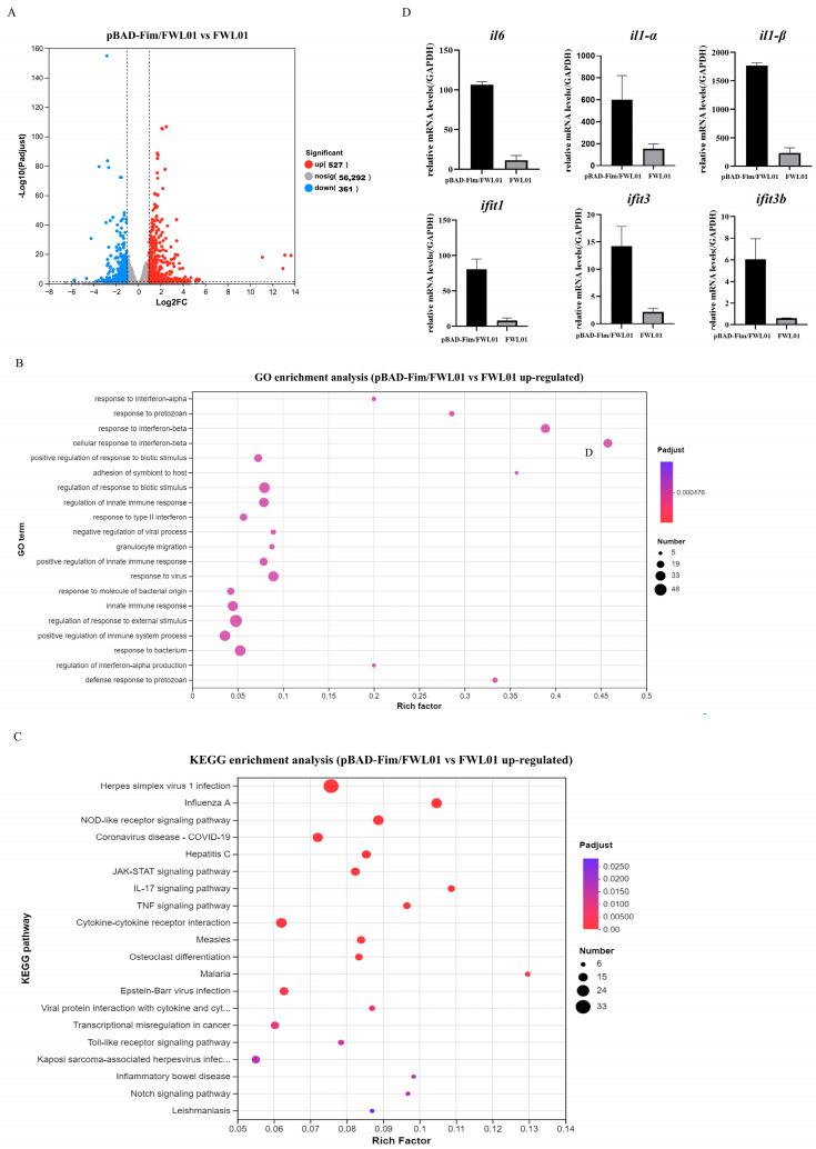 https://cdn.ncbi.nlm.nih.gov/pmc/blobs/af06/11945882/6b16d80f8e27/vaccines-13-00280-g002.jpg