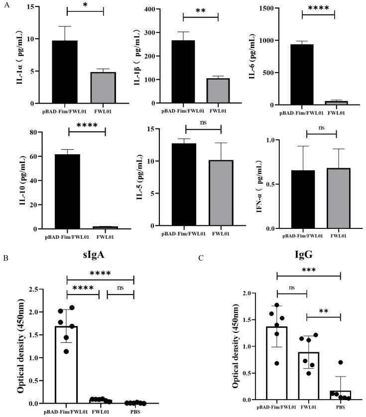 https://cdn.ncbi.nlm.nih.gov/pmc/blobs/af06/11945882/dec73c37de45/vaccines-13-00280-g003.jpg