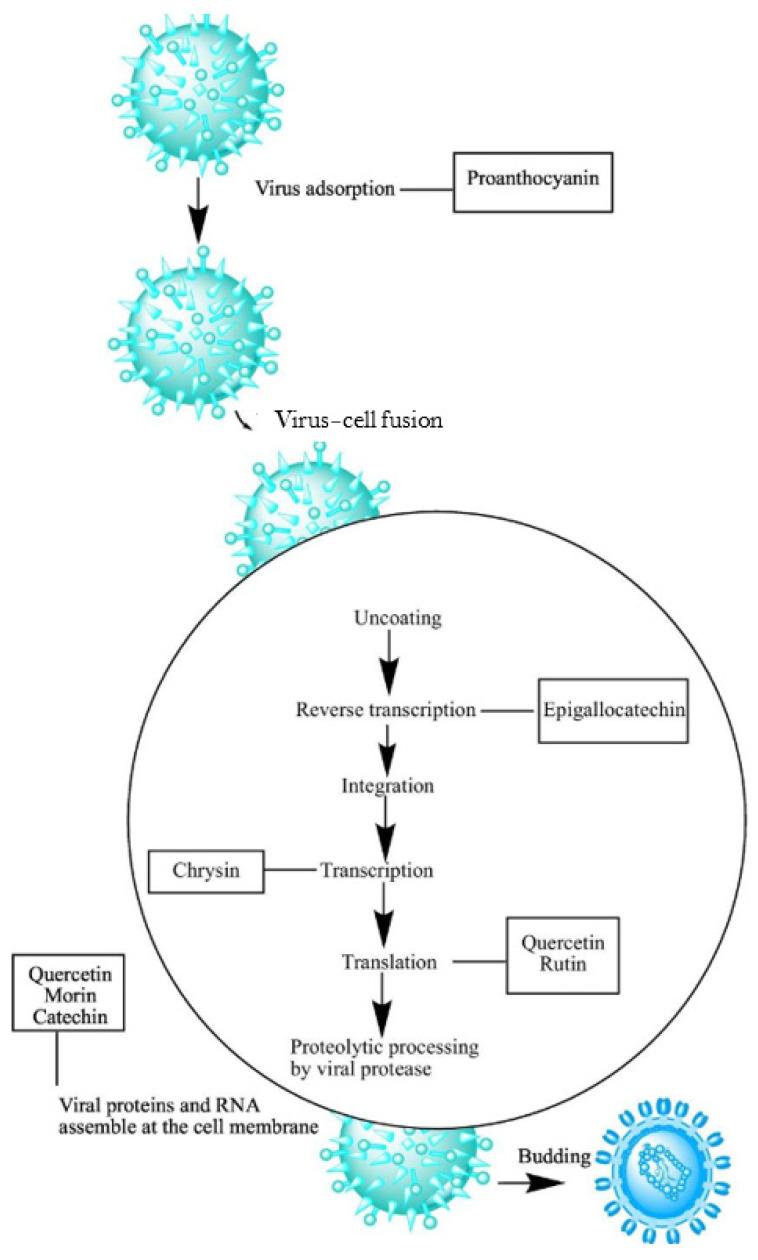 https://cdn.ncbi.nlm.nih.gov/pmc/blobs/af07/11728530/9867e75f4019/microorganisms-12-02502-g005.jpg