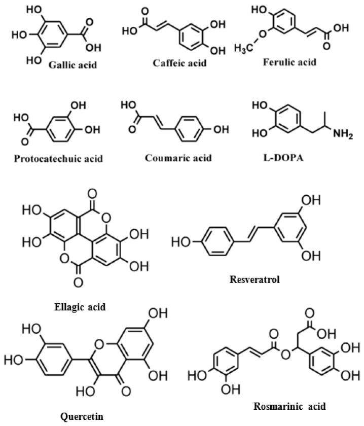 https://cdn.ncbi.nlm.nih.gov/pmc/blobs/af07/11728530/f35ab4e55625/microorganisms-12-02502-g003.jpg