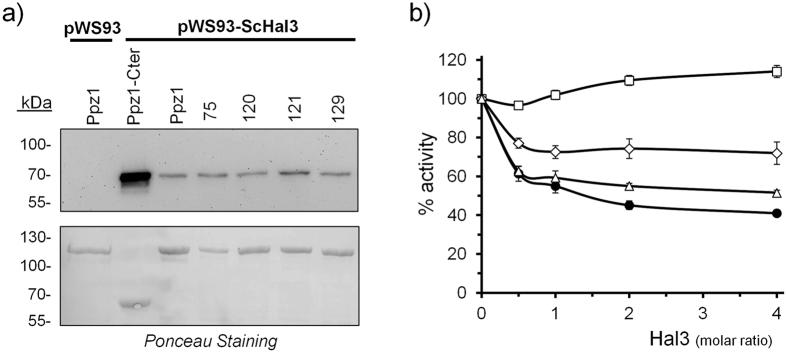 https://cdn.ncbi.nlm.nih.gov/pmc/blobs/af07/5562863/2dc4a5f0f3da/41598_2017_9360_Fig6_HTML.jpg