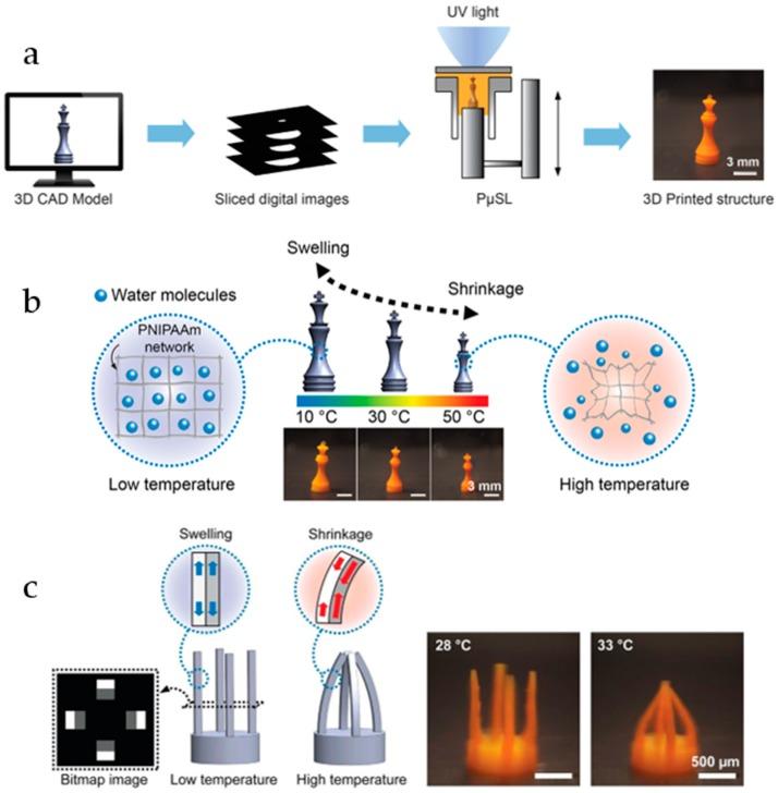 https://cdn.ncbi.nlm.nih.gov/pmc/blobs/af07/6209286/2c1aa38d3620/gels-04-00054-g003.jpg
