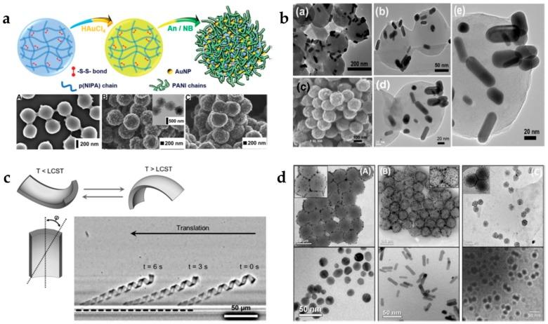 https://cdn.ncbi.nlm.nih.gov/pmc/blobs/af07/6209286/c9566591a13f/gels-04-00054-g005.jpg