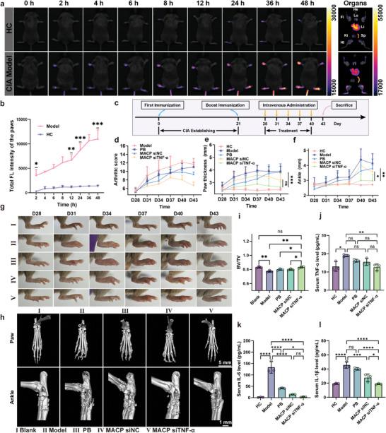 https://cdn.ncbi.nlm.nih.gov/pmc/blobs/af08/12005813/0dfe6bea0902/ADVS-12-2416265-g002.jpg