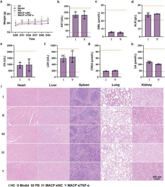 https://cdn.ncbi.nlm.nih.gov/pmc/blobs/af08/12005813/142212a4b59c/ADVS-12-2416265-g005.jpg