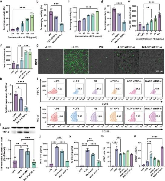 https://cdn.ncbi.nlm.nih.gov/pmc/blobs/af08/12005813/363aa5ab3745/ADVS-12-2416265-g008.jpg