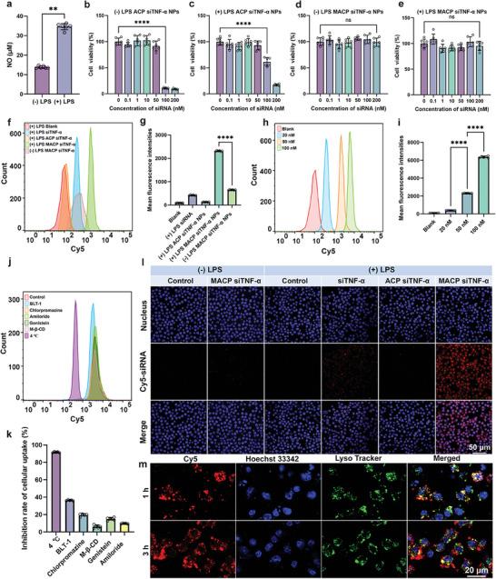 https://cdn.ncbi.nlm.nih.gov/pmc/blobs/af08/12005813/80fc5aa4466e/ADVS-12-2416265-g007.jpg