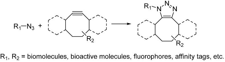 https://cdn.ncbi.nlm.nih.gov/pmc/blobs/af08/6290559/20f74e205f2c/molecules-20-03190-g004.jpg