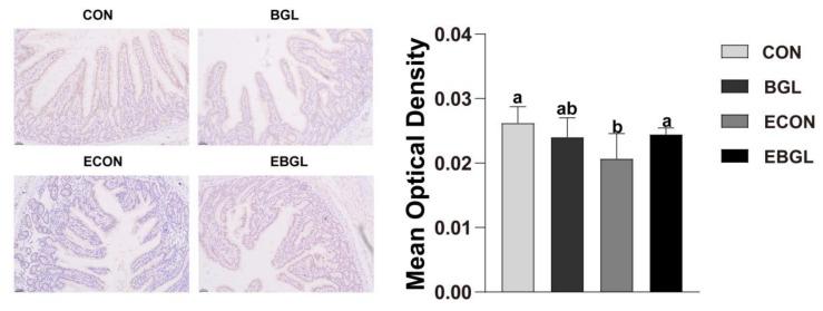 https://cdn.ncbi.nlm.nih.gov/pmc/blobs/af08/9499454/90ab7c6ad98b/ijms-23-10290-g004.jpg
