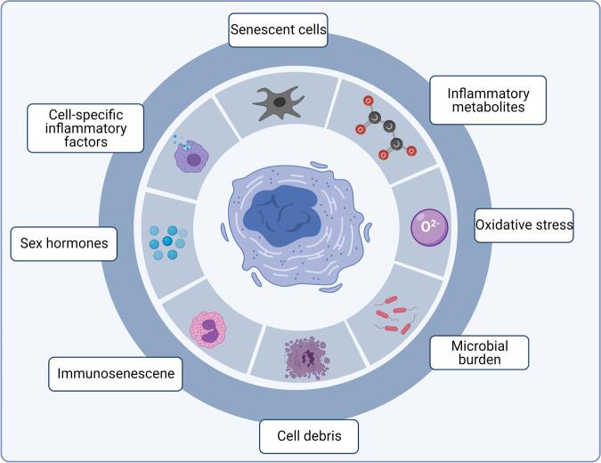 https://cdn.ncbi.nlm.nih.gov/pmc/blobs/af0b/8236488/70c37eff5611/41392_2021_646_Fig3_HTML.jpg