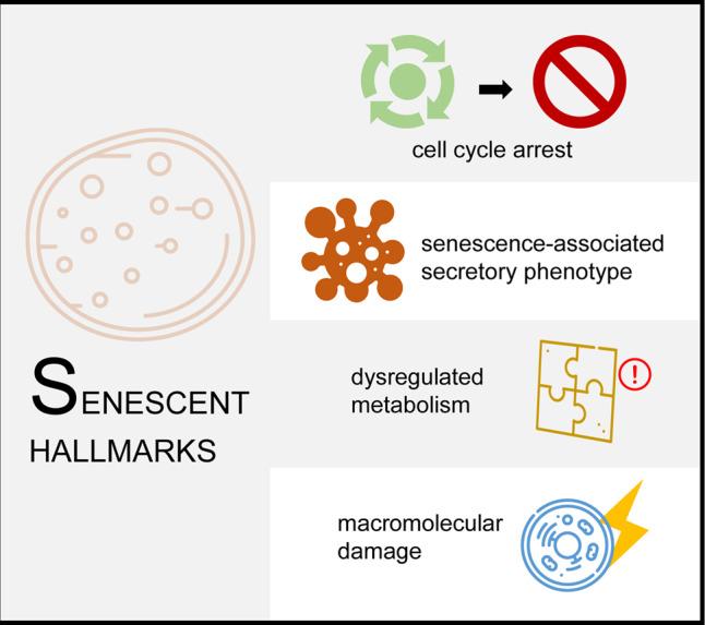 https://cdn.ncbi.nlm.nih.gov/pmc/blobs/af0b/8236488/8441fc630648/41392_2021_646_Fig2_HTML.jpg