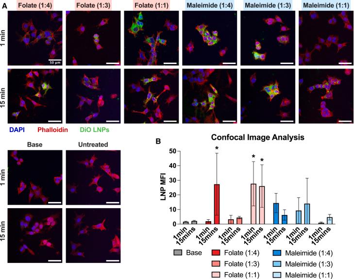 https://cdn.ncbi.nlm.nih.gov/pmc/blobs/af0e/12049828/591d2c980221/gr4.jpg