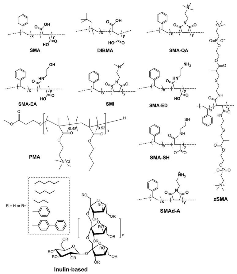https://cdn.ncbi.nlm.nih.gov/pmc/blobs/af0f/9406181/4cd012d08705/biomolecules-12-01076-g002.jpg