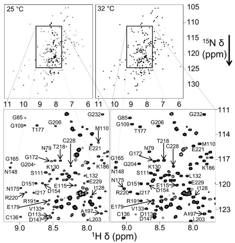 https://cdn.ncbi.nlm.nih.gov/pmc/blobs/af0f/9406181/d47d80d72355/biomolecules-12-01076-g015.jpg