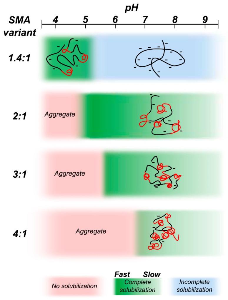 https://cdn.ncbi.nlm.nih.gov/pmc/blobs/af0f/9406181/e7b615857caf/biomolecules-12-01076-g005.jpg