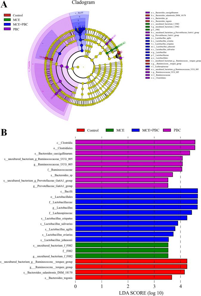 https://cdn.ncbi.nlm.nih.gov/pmc/blobs/af0f/9559840/27de24446556/40104_2022_766_Fig3_HTML.jpg