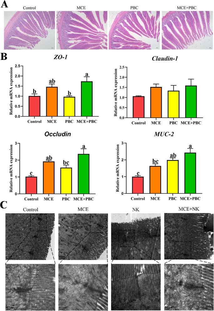 https://cdn.ncbi.nlm.nih.gov/pmc/blobs/af0f/9559840/d2174fb81cb4/40104_2022_766_Fig7_HTML.jpg