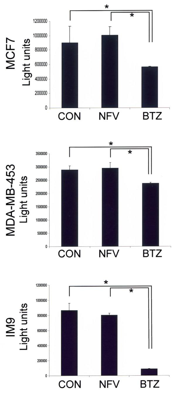 https://cdn.ncbi.nlm.nih.gov/pmc/blobs/af10/2949632/e4534ce3336b/bcr2602-7.jpg