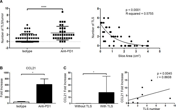 https://cdn.ncbi.nlm.nih.gov/pmc/blobs/af10/7478024/b82f7d008d3b/jitc-2020-001187f05.jpg