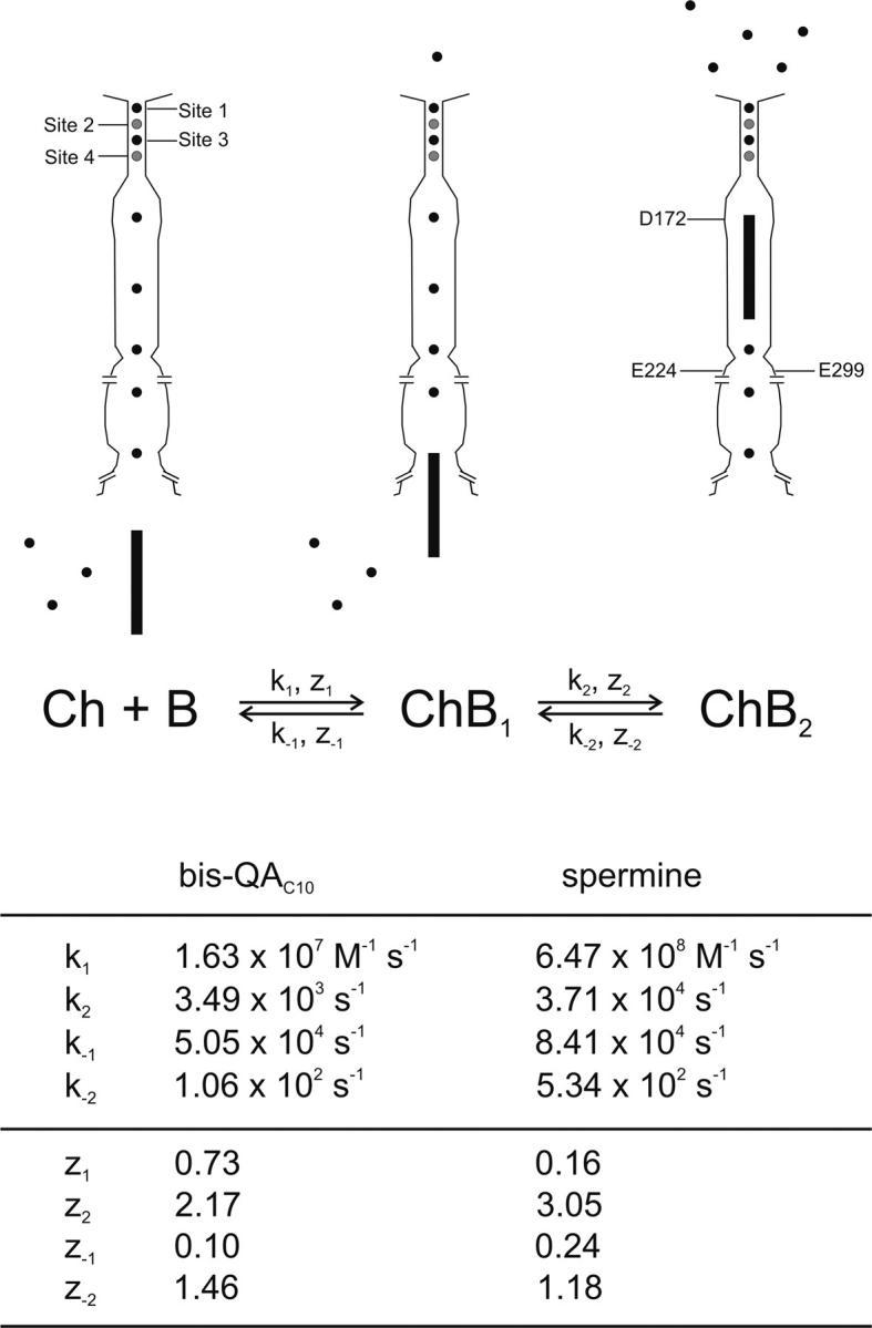 https://cdn.ncbi.nlm.nih.gov/pmc/blobs/af11/2217510/4f2855de1f70/200409242f9.jpg