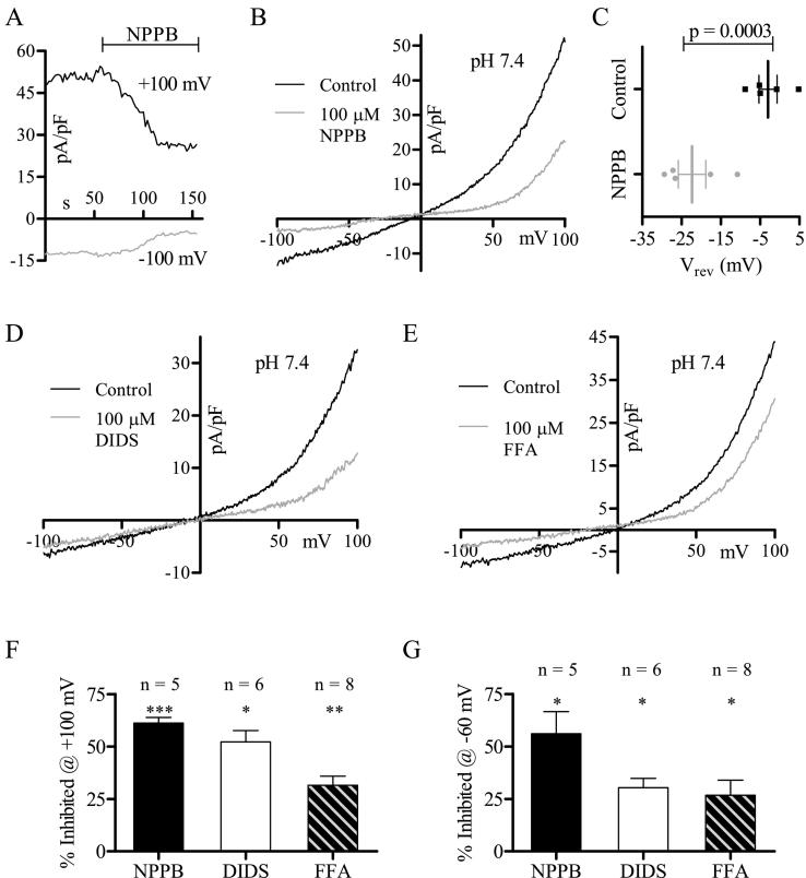 https://cdn.ncbi.nlm.nih.gov/pmc/blobs/af11/5482324/25bc830ea9d4/gr3.jpg