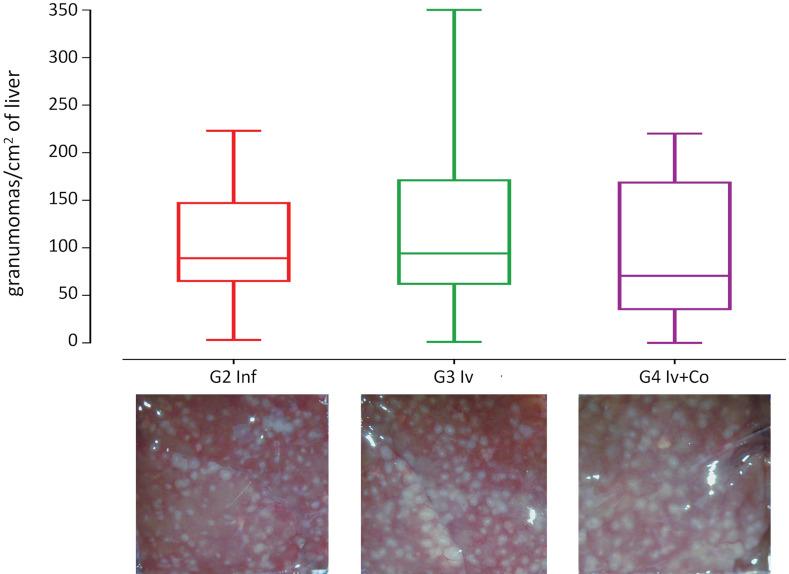 https://cdn.ncbi.nlm.nih.gov/pmc/blobs/af12/7904857/68d4cf0ce0fd/41598_2021_84009_Fig5_HTML.jpg