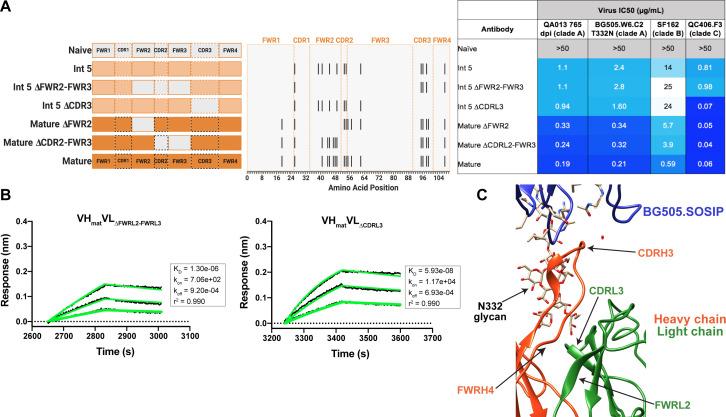 https://cdn.ncbi.nlm.nih.gov/pmc/blobs/af12/8376252/639901b5c8b5/elife-68110-fig6.jpg