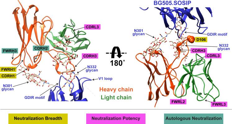 https://cdn.ncbi.nlm.nih.gov/pmc/blobs/af12/8376252/81633cadc0ed/elife-68110-fig9.jpg