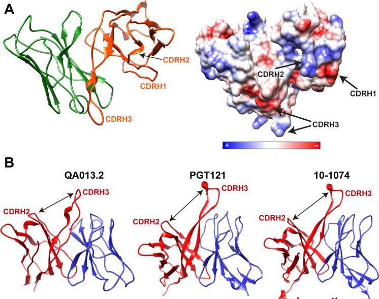 https://cdn.ncbi.nlm.nih.gov/pmc/blobs/af12/8376252/871ea6125a60/elife-68110-fig3-figsupp1.jpg