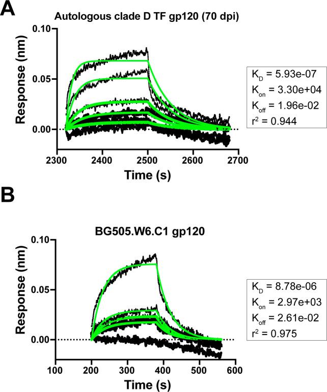 https://cdn.ncbi.nlm.nih.gov/pmc/blobs/af12/8376252/ae6c81f69eab/elife-68110-fig7-figsupp2.jpg