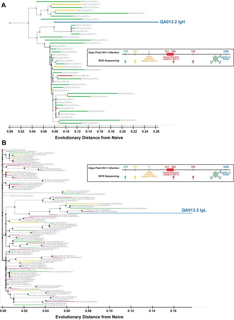 https://cdn.ncbi.nlm.nih.gov/pmc/blobs/af12/8376252/c5bb0b2daa64/elife-68110-fig1-figsupp1.jpg