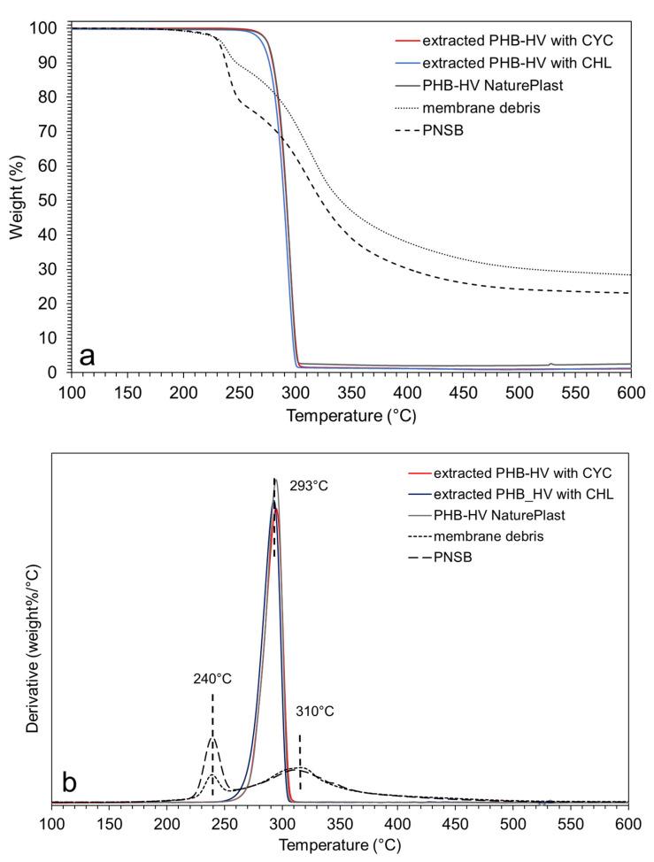 https://cdn.ncbi.nlm.nih.gov/pmc/blobs/af13/8659763/42e2eb684025/polymers-13-04163-g004.jpg