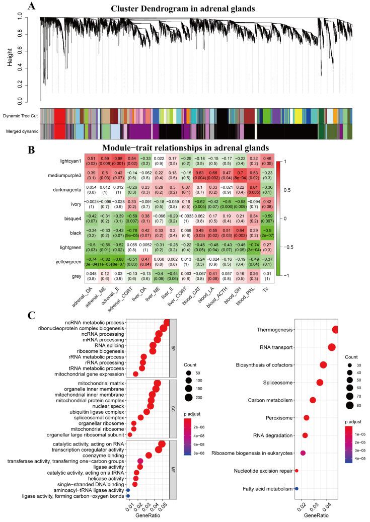 https://cdn.ncbi.nlm.nih.gov/pmc/blobs/af14/10215599/c0f21ab67d14/animals-13-01618-g001.jpg
