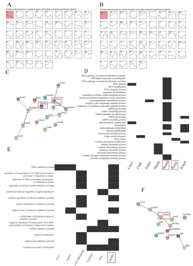 https://cdn.ncbi.nlm.nih.gov/pmc/blobs/af14/10215599/f74741442b86/animals-13-01618-g003.jpg
