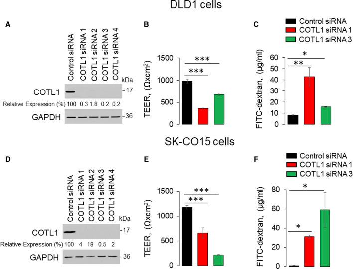 https://cdn.ncbi.nlm.nih.gov/pmc/blobs/af16/11260685/242c9ae0e3d8/fcell-12-1405454-g002.jpg