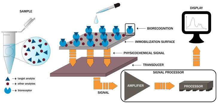 https://cdn.ncbi.nlm.nih.gov/pmc/blobs/af16/7765790/5d5239077a97/molecules-25-06013-g001.jpg