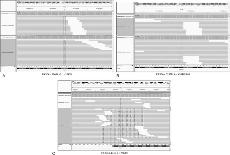 https://cdn.ncbi.nlm.nih.gov/pmc/blobs/af17/6641855/a7b11eebb009/medi-98-e16245-g006.jpg