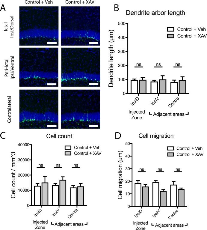 https://cdn.ncbi.nlm.nih.gov/pmc/blobs/af18/6785072/ba81faae3474/pone.0215789.g002.jpg