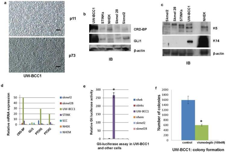 https://cdn.ncbi.nlm.nih.gov/pmc/blobs/af1a/4041658/86d5cdb2f065/nihms555404f3.jpg