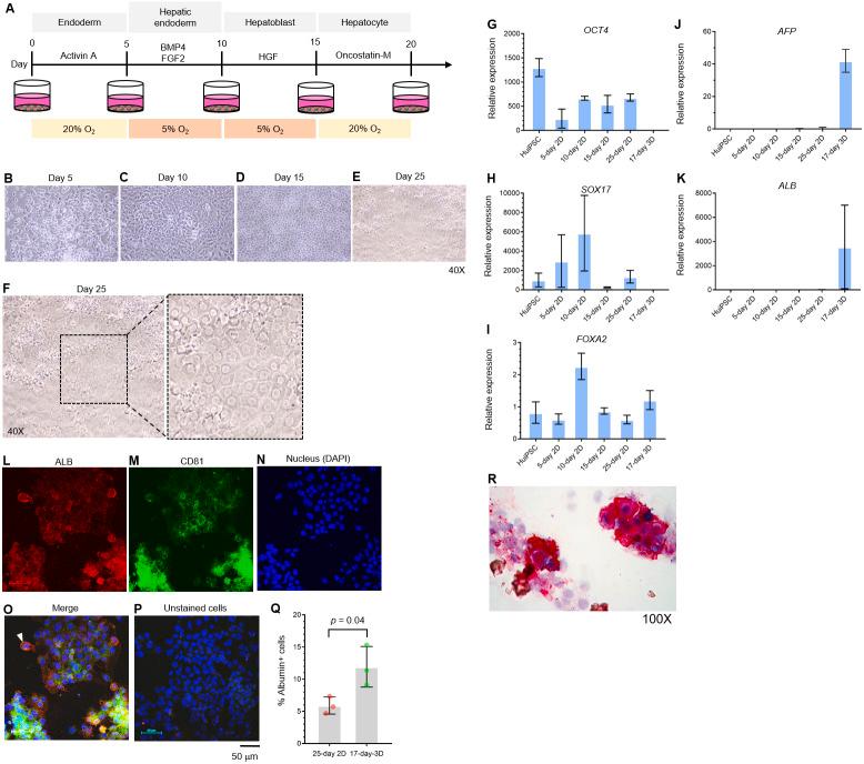 https://cdn.ncbi.nlm.nih.gov/pmc/blobs/af1e/7580584/50d8ebd74bd9/peerj-08-9968-g001.jpg