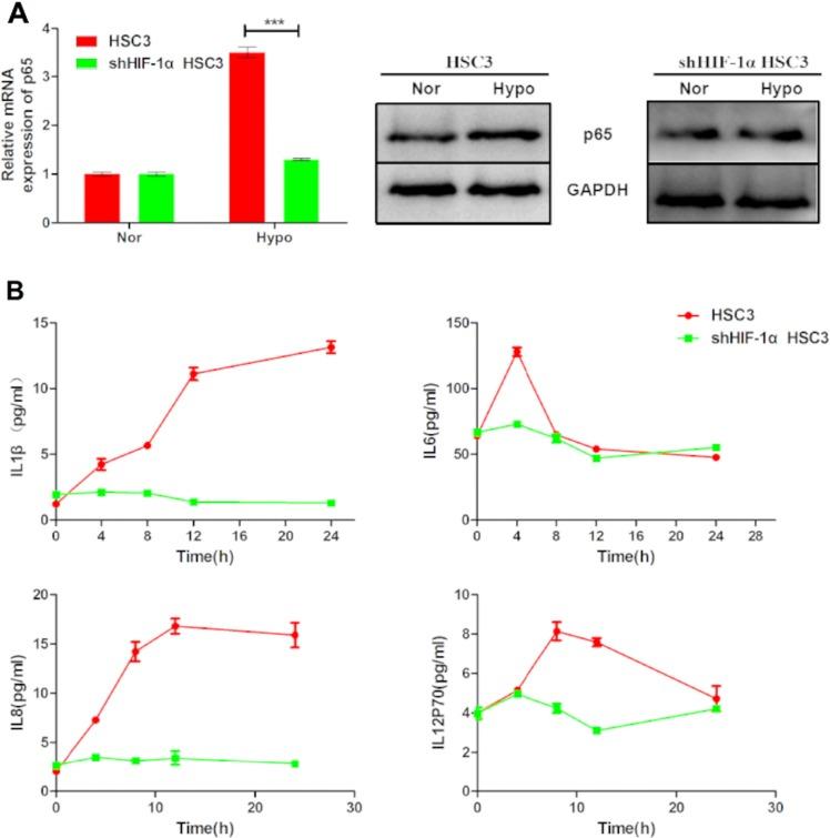 https://cdn.ncbi.nlm.nih.gov/pmc/blobs/af1f/5122348/49f81498372b/oncotarget-07-37773-g008.jpg