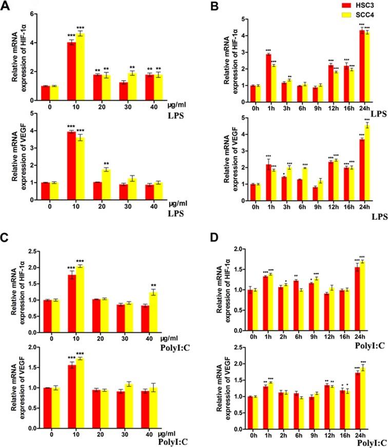 https://cdn.ncbi.nlm.nih.gov/pmc/blobs/af1f/5122348/6415460da1e2/oncotarget-07-37773-g002.jpg