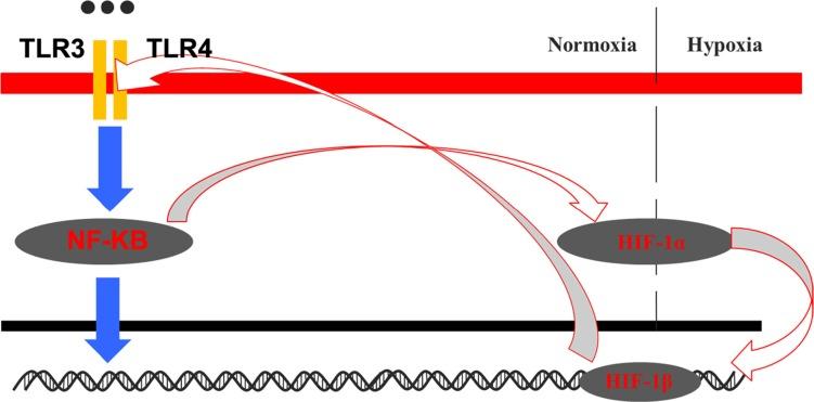 https://cdn.ncbi.nlm.nih.gov/pmc/blobs/af1f/5122348/973a7ff5621f/oncotarget-07-37773-g010.jpg